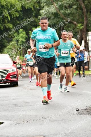 Foto del MEDIO MARATÓN ATLAS a las 08:26