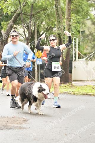 Foto del MEDIO MARATÓN ATLAS a las 08:46