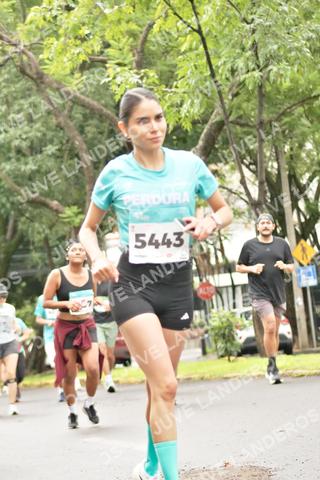Foto del MEDIO MARATÓN ATLAS a las 08:43