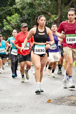 Foto del MEDIO MARATÓN ATLAS a las 08:35