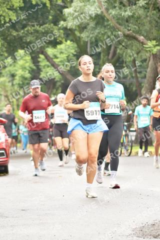 Foto del MEDIO MARATÓN ATLAS a las 08:47