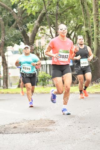 Foto del MEDIO MARATÓN ATLAS a las 08:47