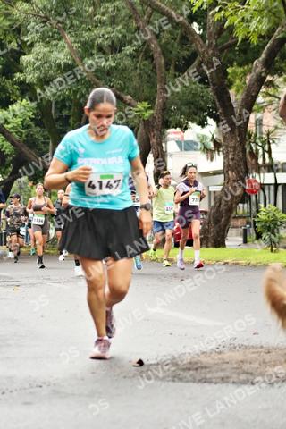 Foto del MEDIO MARATÓN ATLAS a las 08:25