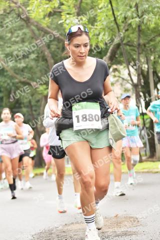Foto del MEDIO MARATÓN ATLAS a las 08:42