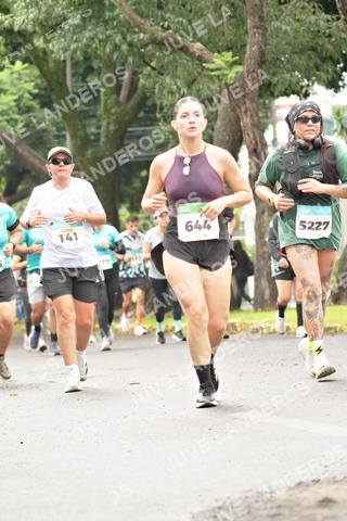 Foto del MEDIO MARATÓN ATLAS a las 08:44