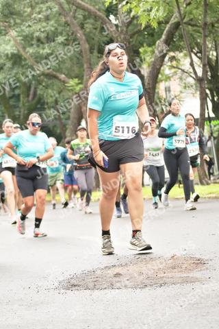 Foto del MEDIO MARATÓN ATLAS a las 08:44