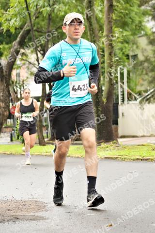 Foto del MEDIO MARATÓN ATLAS a las 08:33