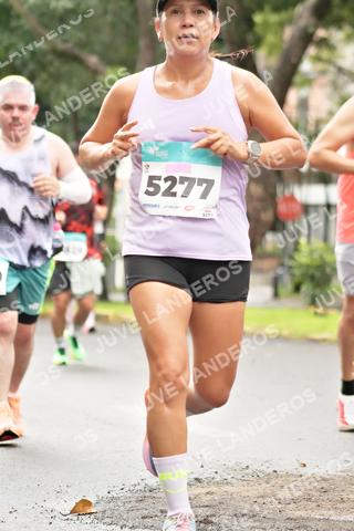 Foto del MEDIO MARATÓN ATLAS a las 08:35