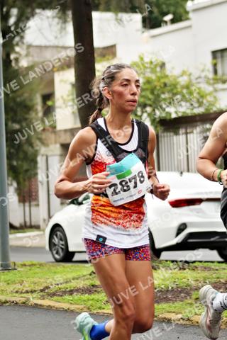 Foto del MEDIO MARATÓN ATLAS a las 08:11