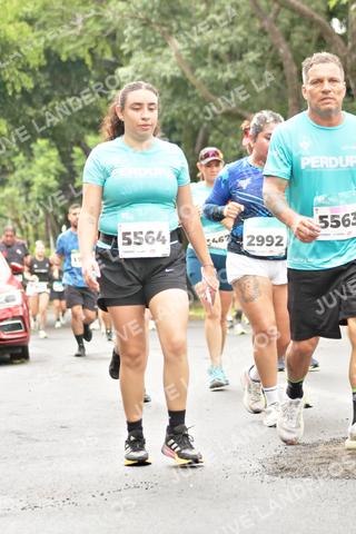 Foto del MEDIO MARATÓN ATLAS a las 08:44