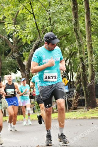 Foto del MEDIO MARATÓN ATLAS a las 08:42