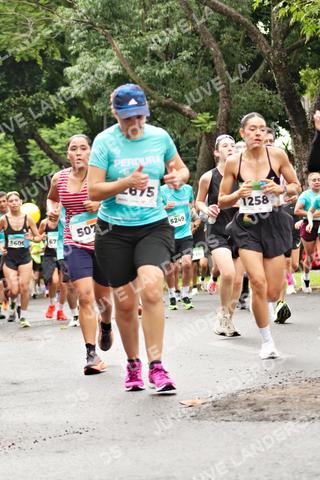 Foto del MEDIO MARATÓN ATLAS a las 08:28