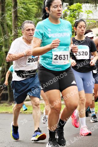Foto del MEDIO MARATÓN ATLAS a las 08:34
