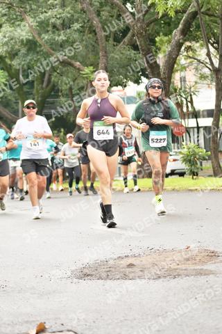 Foto del MEDIO MARATÓN ATLAS a las 08:44