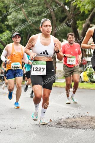 Foto del MEDIO MARATÓN ATLAS a las 08:28