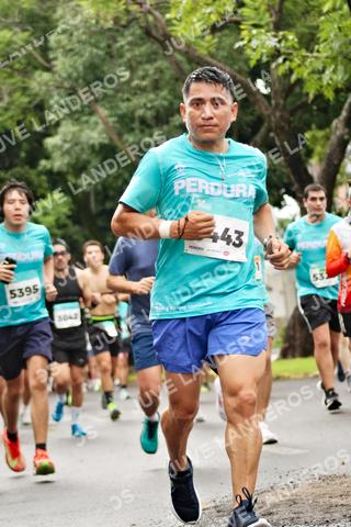 Foto del MEDIO MARATÓN ATLAS a las 08:28
