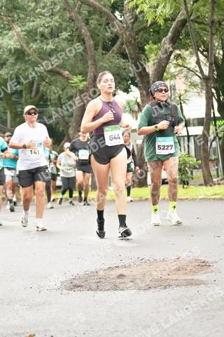 Foto del MEDIO MARATÓN ATLAS a las 08:44