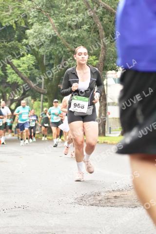 Foto del MEDIO MARATÓN ATLAS a las 08:48