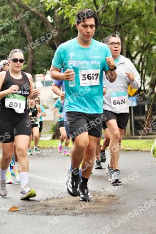 Foto del MEDIO MARATÓN ATLAS a las 08:36
