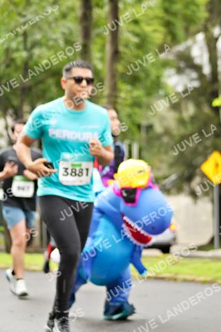 Foto del MEDIO MARATÓN ATLAS a las 08:26