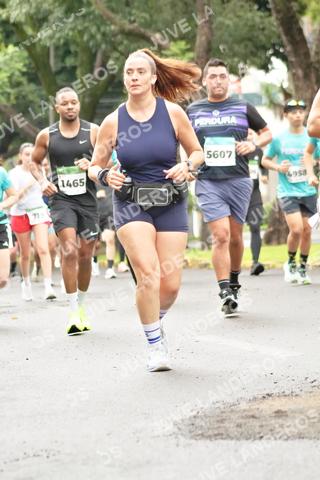 Foto del MEDIO MARATÓN ATLAS a las 08:43