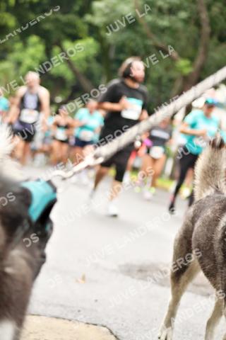 Foto del MEDIO MARATÓN ATLAS a las 08:39