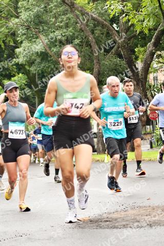 Foto del MEDIO MARATÓN ATLAS a las 08:26