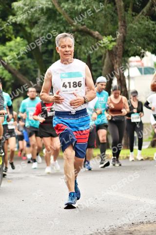 Foto del MEDIO MARATÓN ATLAS a las 08:41