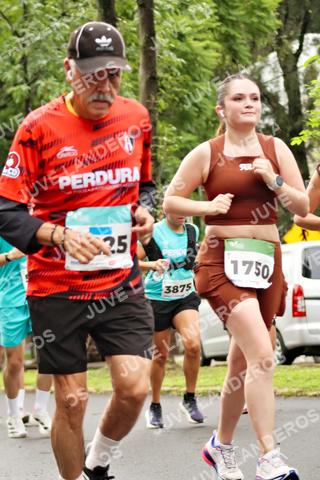 Foto del MEDIO MARATÓN ATLAS a las 08:33