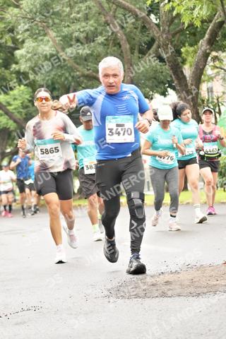 Foto del MEDIO MARATÓN ATLAS a las 08:43