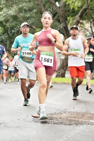 Foto del MEDIO MARATÓN ATLAS a las 08:27