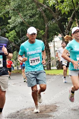 Foto del MEDIO MARATÓN ATLAS a las 08:16