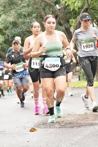 Foto del MEDIO MARATÓN ATLAS a las 08:38