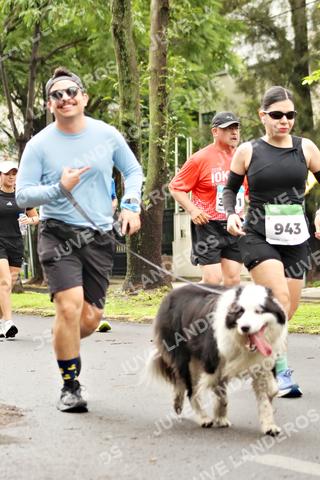 Foto del MEDIO MARATÓN ATLAS a las 08:46