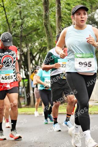 Foto del MEDIO MARATÓN ATLAS a las 08:40