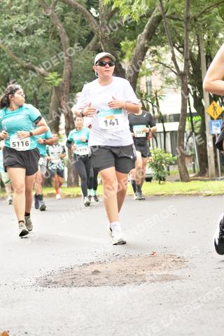 Foto del MEDIO MARATÓN ATLAS a las 08:44