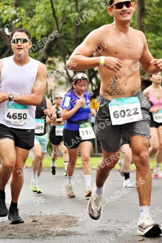 Foto del MEDIO MARATÓN ATLAS a las 08:32