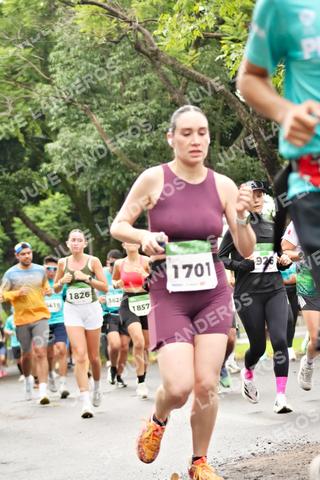 Foto del MEDIO MARATÓN ATLAS a las 08:34