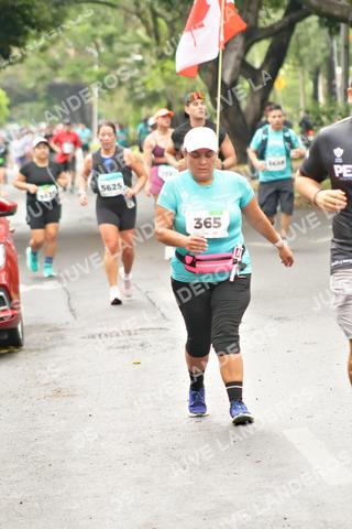 Foto del MEDIO MARATÓN ATLAS a las 08:58