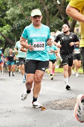Foto del MEDIO MARATÓN ATLAS a las 08:37