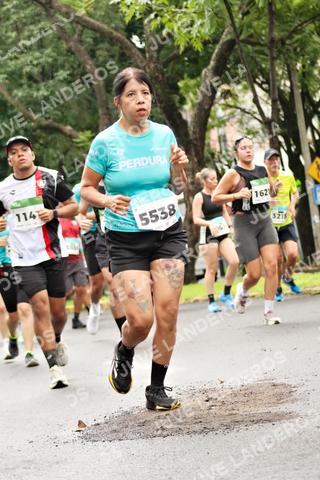 Foto del MEDIO MARATÓN ATLAS a las 08:31