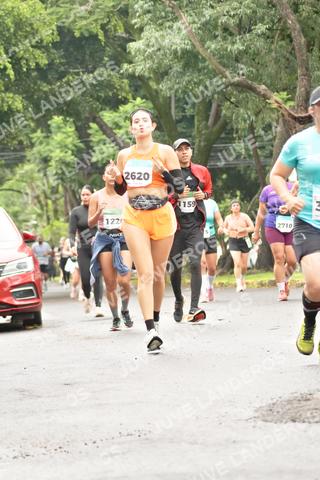 Foto del MEDIO MARATÓN ATLAS a las 08:48