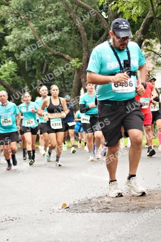 Foto del MEDIO MARATÓN ATLAS a las 08:33