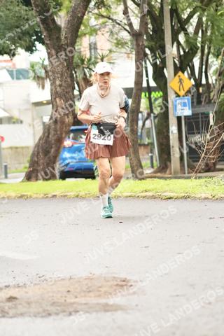 Foto del MEDIO MARATÓN ATLAS a las 08:45