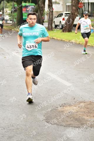 Foto del MEDIO MARATÓN ATLAS a las 09:07