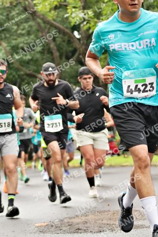 Foto del MEDIO MARATÓN ATLAS a las 08:28