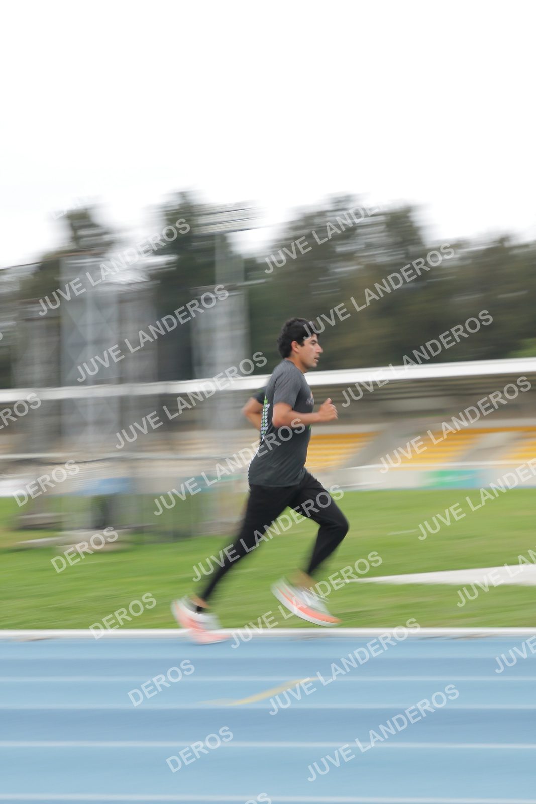 Foto de Pista Revolución 16 de octubre 2026 en Polideportivo CODE Revolución, Jalisco, zapopan a las 07:02