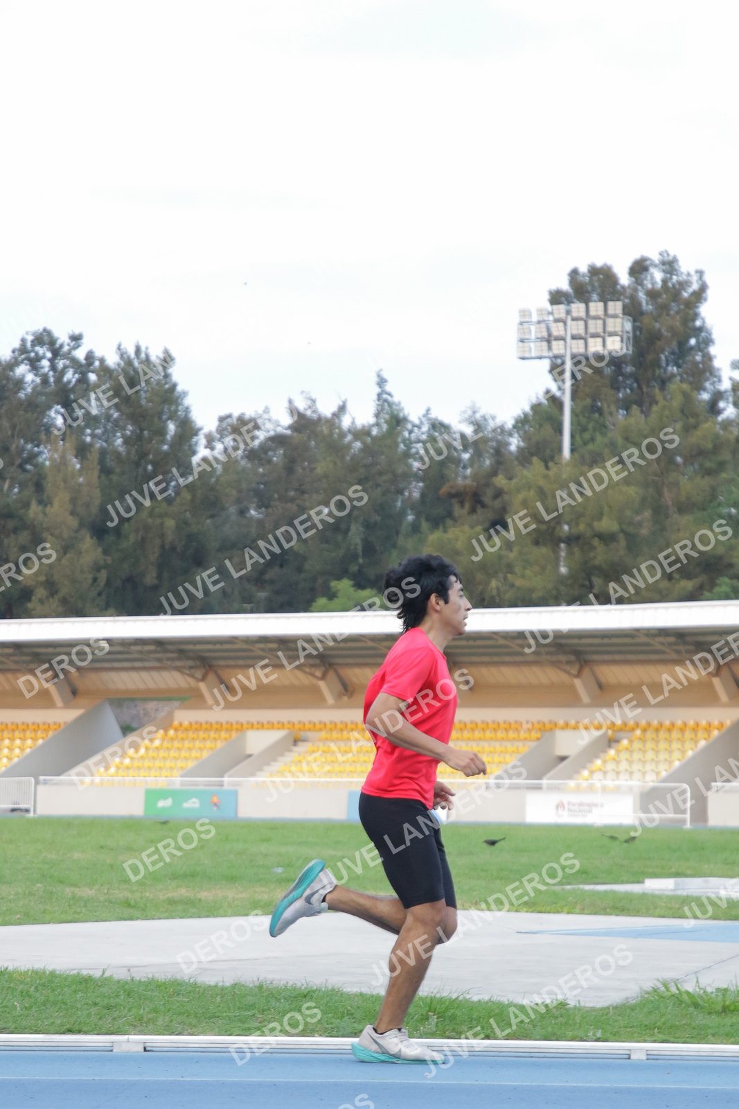 Foto de Pista Revolución 16 de octubre 2026 en Polideportivo CODE Revolución, Jalisco, zapopan a las 07:21