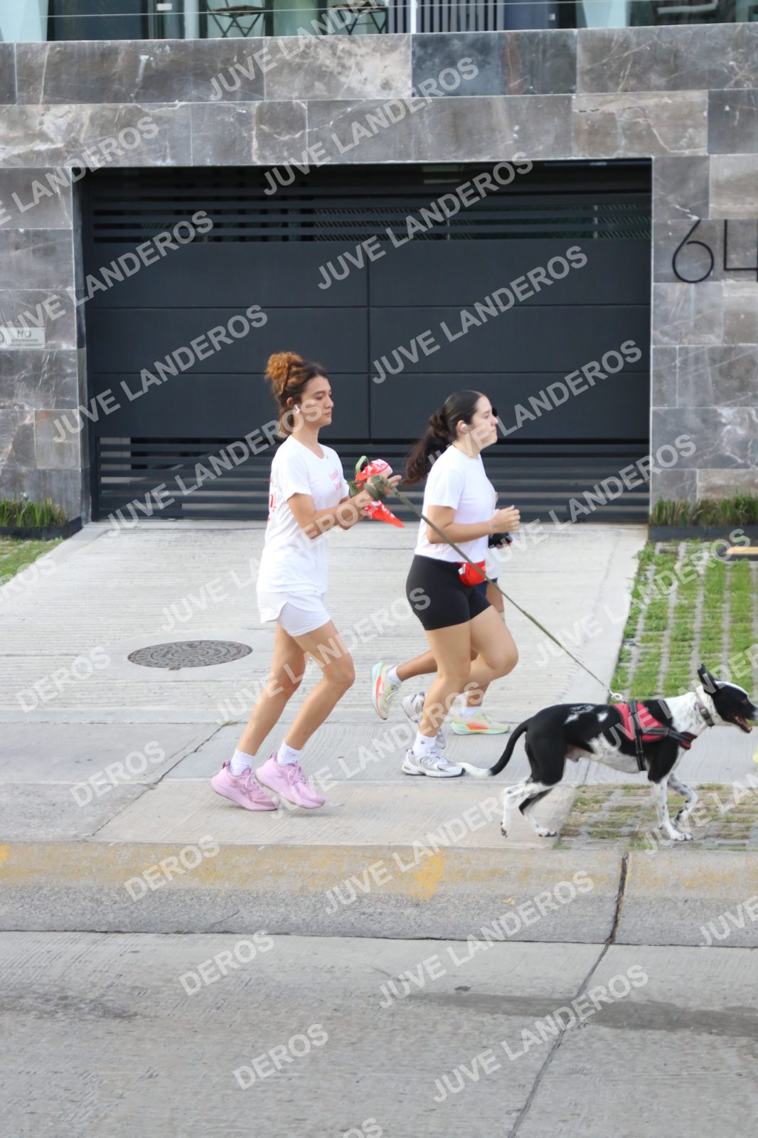 Foto de la Running & Brunching 🥐 Pancake Run en Lukas & Tomás — Av. Ecónomos 6150, Zapopan a las 07:37 · Recta intermedia