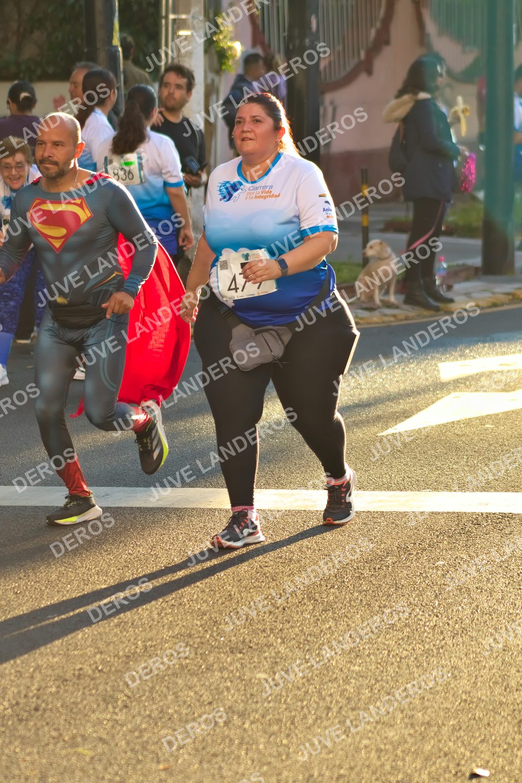 Foto del SERIAL DE CARRERAS DE GUADALAJARA — FECHA AV. NORMALISTAS en Vía RecreActiva Metropolitana, Av. Normalistas, Jardines Alcalde, Guadalajara a las 07:27 · dorsal 836, 47